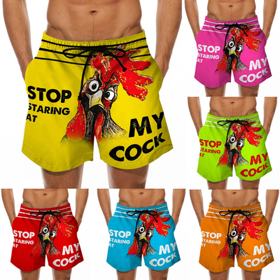 Les vacances d'été, les vacances, les maillots de bain pour hommes anti-rétrécissement
